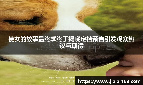 使女的故事最终季终于揭晓定档预告引发观众热议与期待