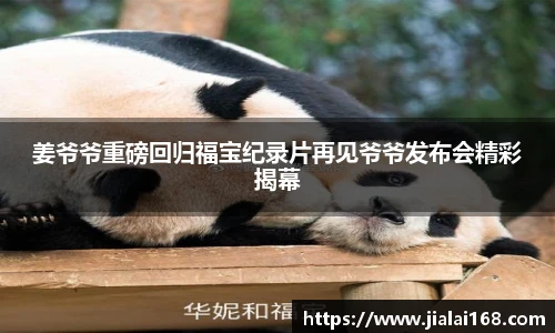 壹号壹号国际